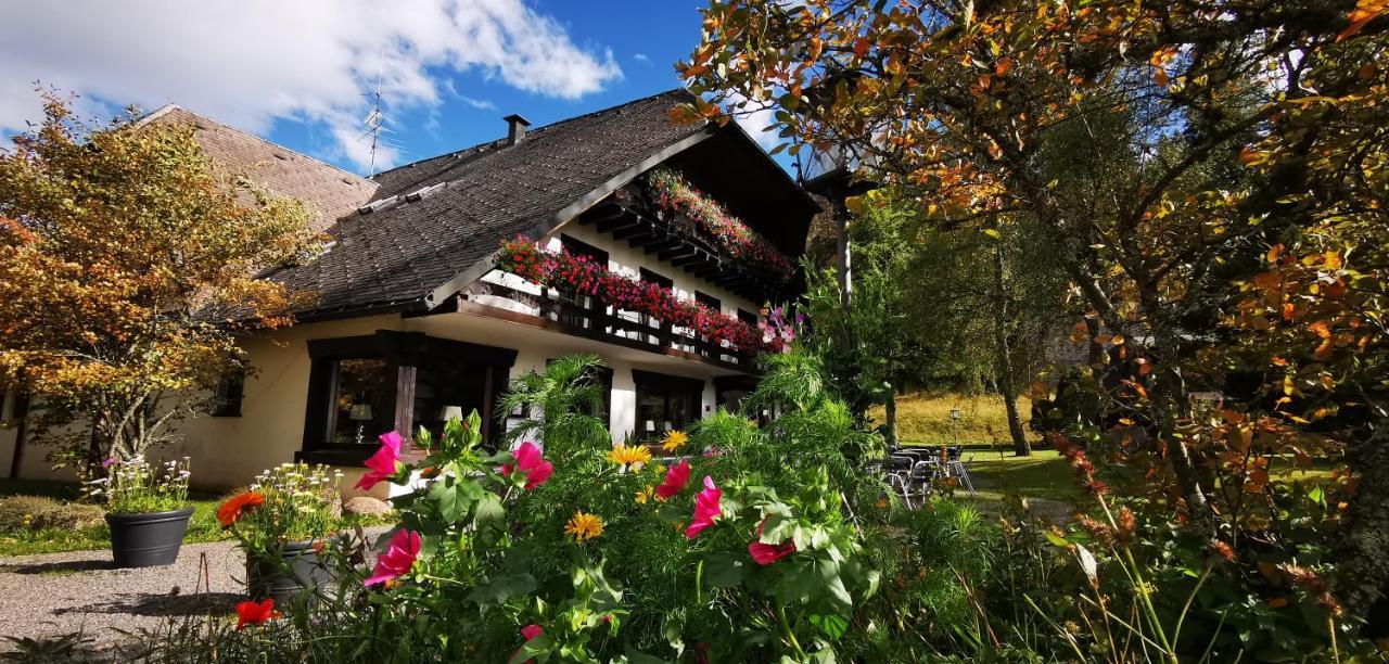 Gästehaus Behabühl B&B Feldberg  Exterior foto